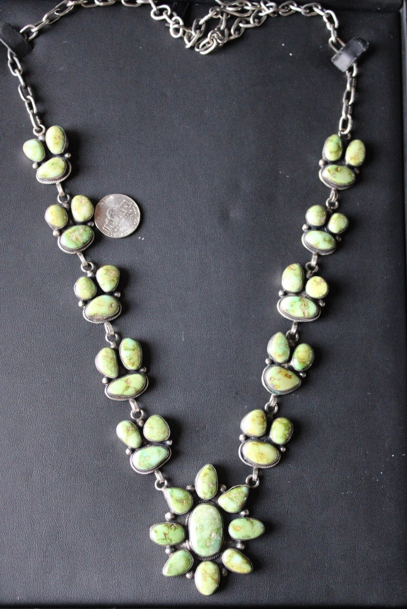 Sonoran Set