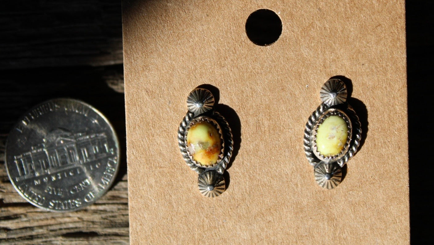 Palomino Studs