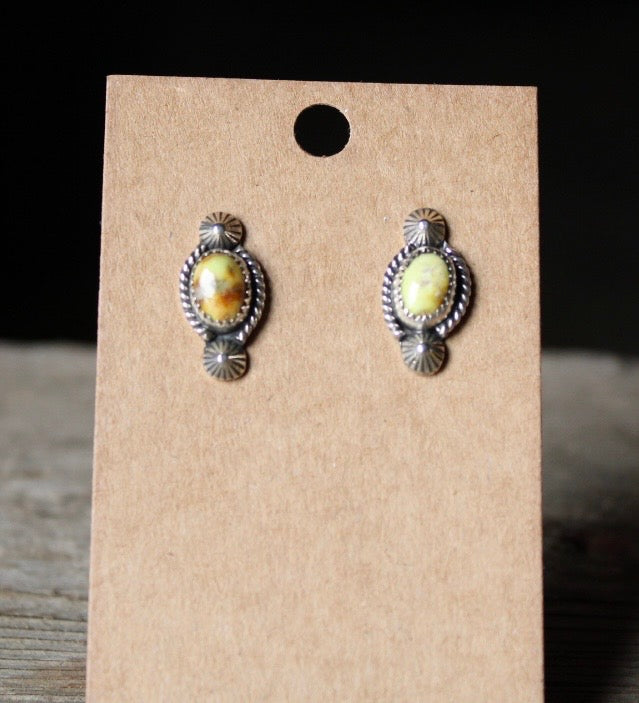 Palomino Studs