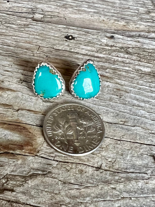 Stb. Sonoran Gem Studs