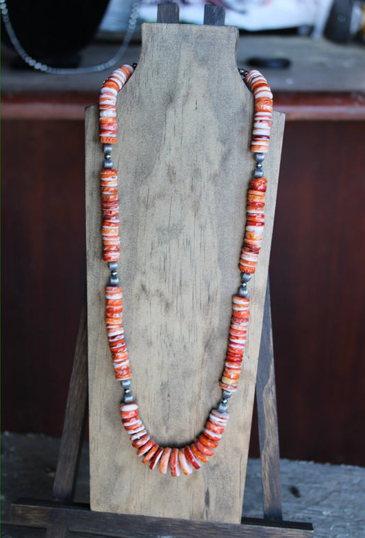 Orange Spiny Statement