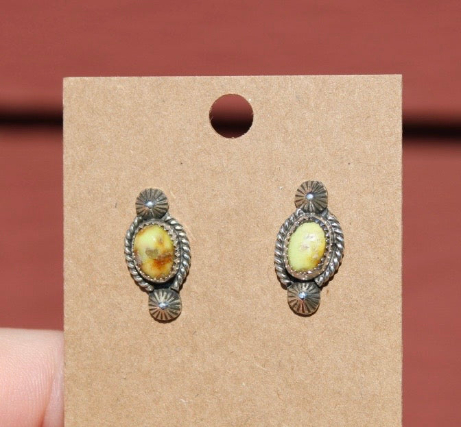 Palomino Studs