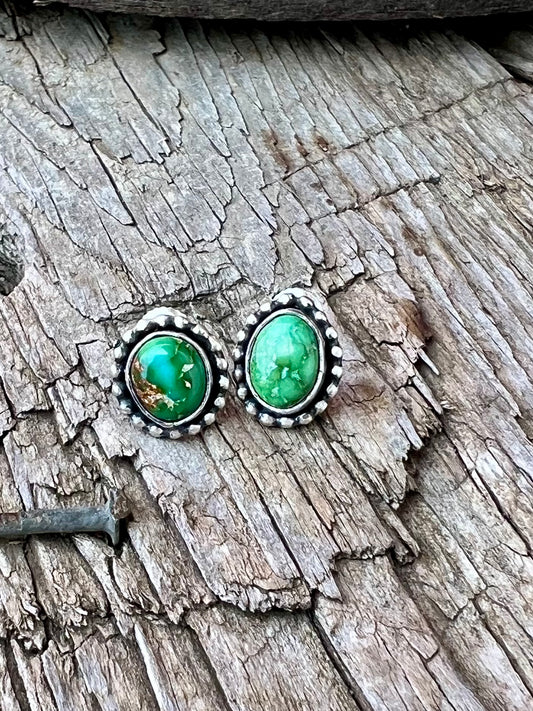 Verde Valley Earrings Twist Back