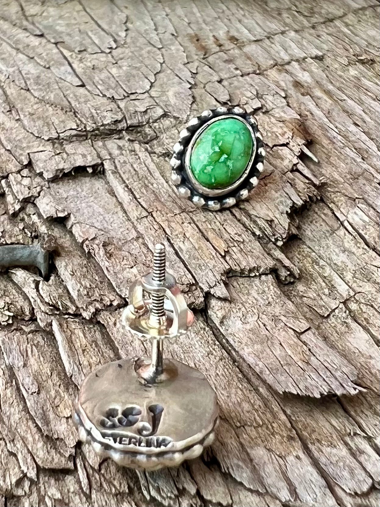Verde Valley Earrings Twist Back